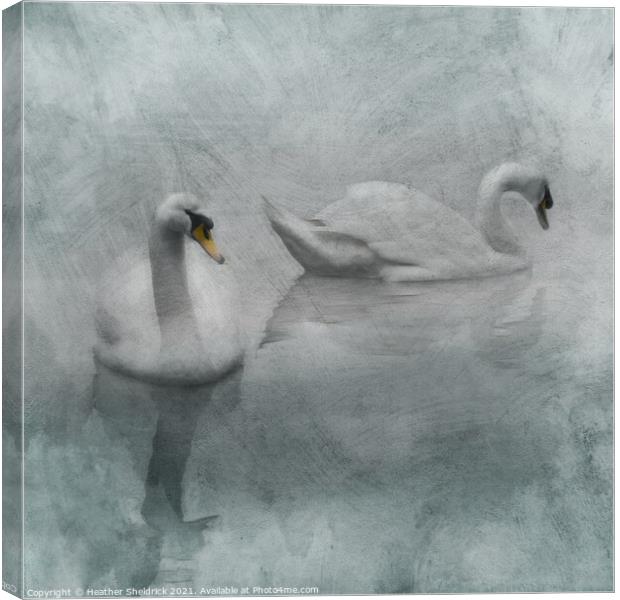 Beautiful Swans Canvas Print by Heather Sheldrick