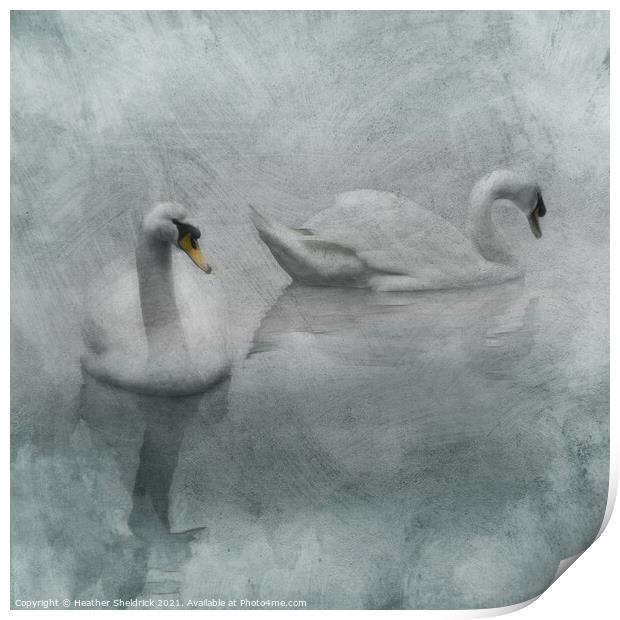 Beautiful Swans Print by Heather Sheldrick