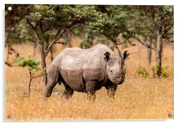 black rhinoceros or hook-lipped rhinoceros (Dicero Acrylic by Steve de Roeck