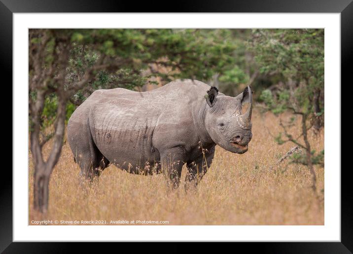 Black Rhinoceros; Diceros Bicornis Framed Mounted Print by Steve de Roeck