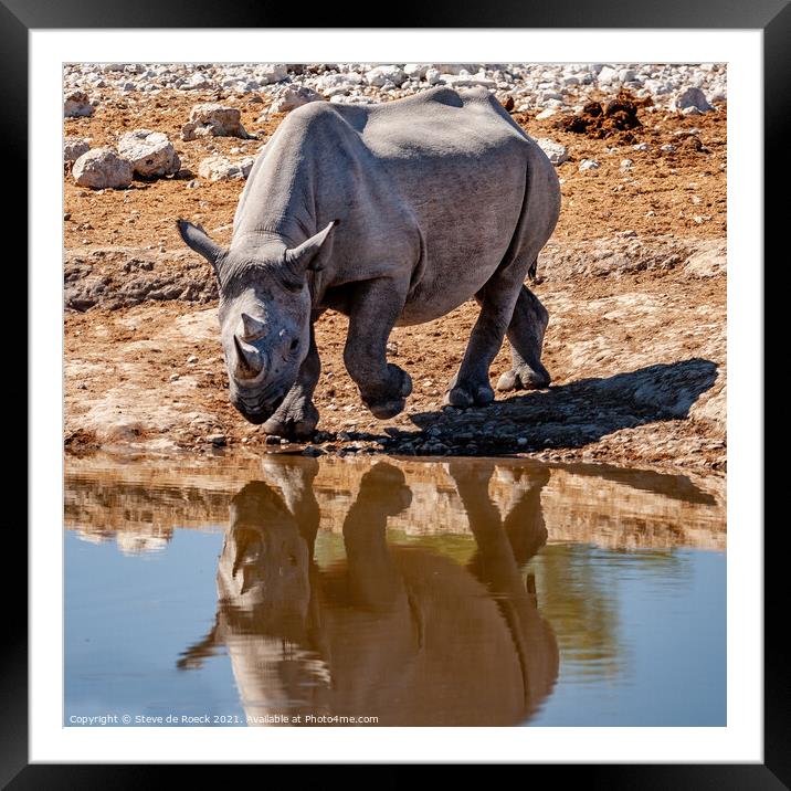 Black rhinoceros or hook-lipped rhinoceros Framed Mounted Print by Steve de Roeck