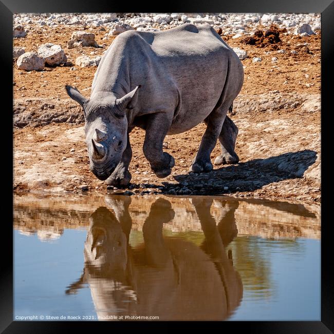 Black rhinoceros or hook-lipped rhinoceros Framed Print by Steve de Roeck
