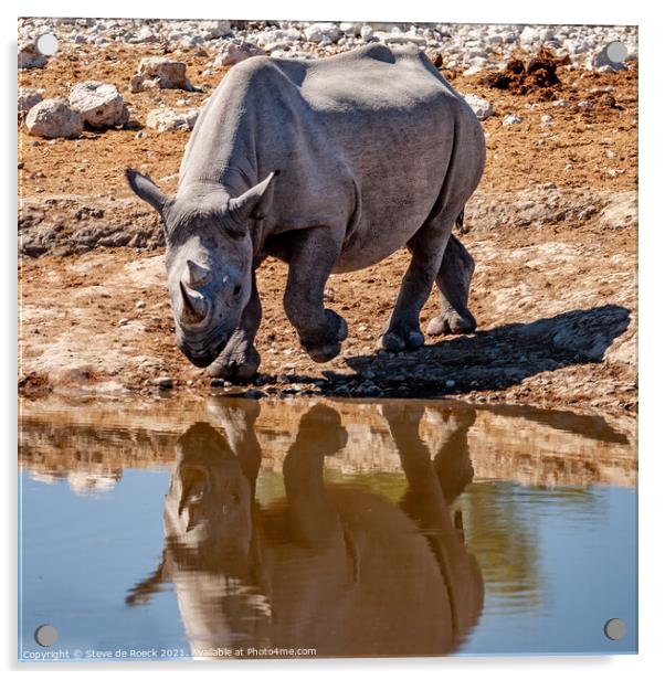 Black rhinoceros or hook-lipped rhinoceros Acrylic by Steve de Roeck