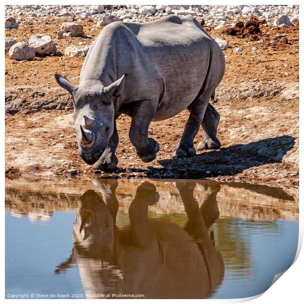 Black rhinoceros or hook-lipped rhinoceros Print by Steve de Roeck