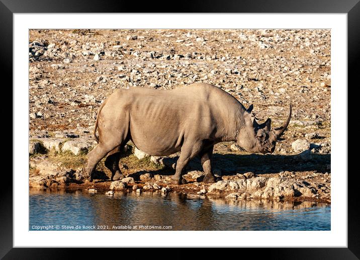 Black Rhinoceros Framed Mounted Print by Steve de Roeck