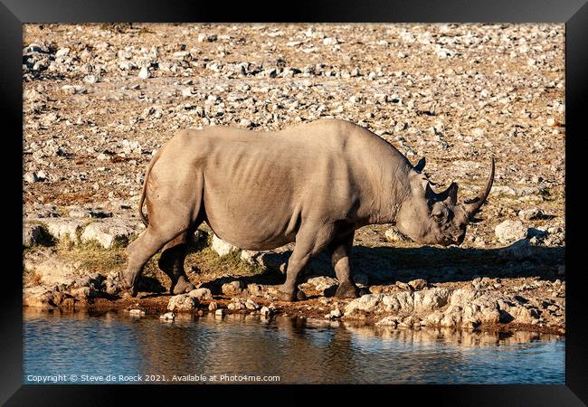 Black Rhinoceros Framed Print by Steve de Roeck