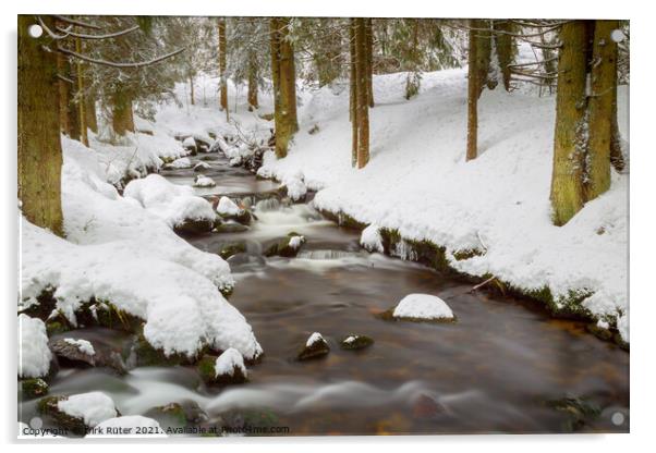 Creek in winter Acrylic by Dirk Rüter