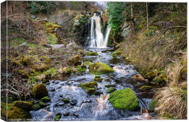 Posforth falls in the Yorkshire dales valley of desolation  447  Canvas Print by PHILIP CHALK