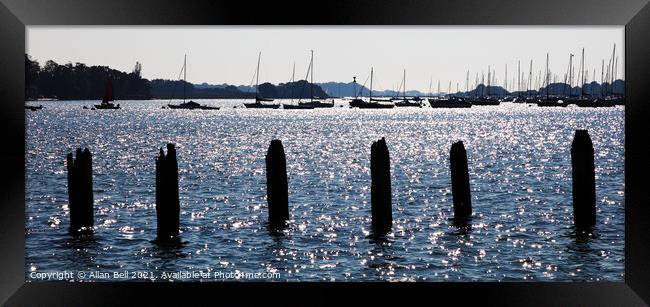 Posts in Water Bosham Harbour Chichester Framed Print by Allan Bell