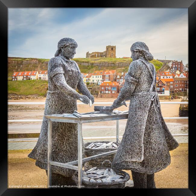 Herring ladies Framed Print by kevin cook