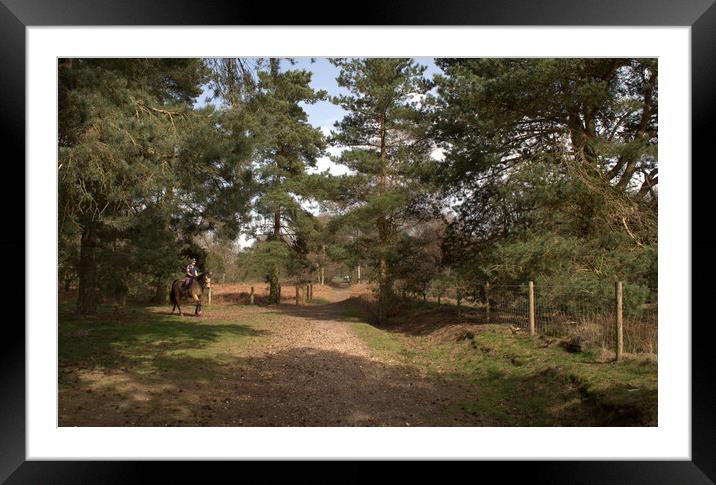The equestrian  in the woods Framed Mounted Print by Jon Fixter
