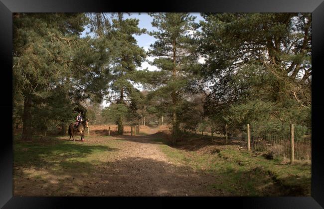 The equestrian  in the woods Framed Print by Jon Fixter