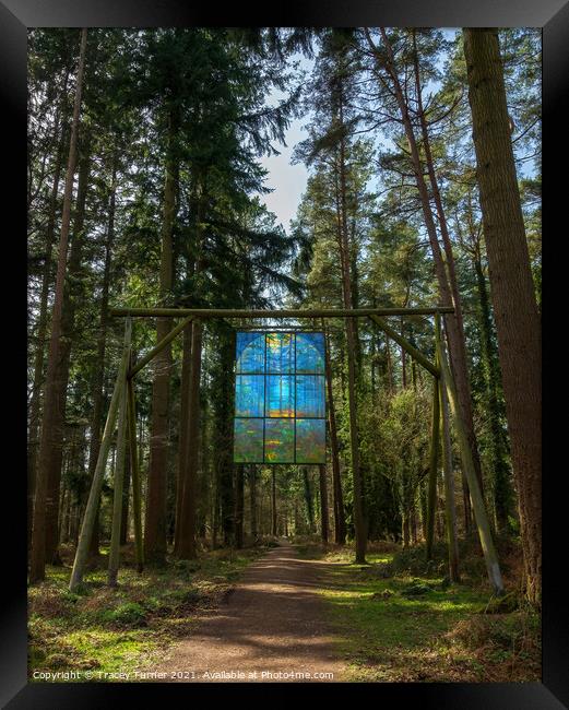 The Stained Glass Window - Forest of Dean Framed Print by Tracey Turner