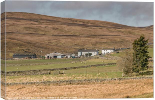 Waters Meeting and Herdship Farms, Harwood, Upper Teesdale Canvas Print by Richard Laidler