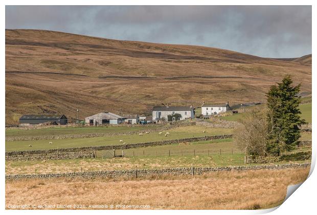 Waters Meeting and Herdship Farms, Harwood, Upper Teesdale Print by Richard Laidler