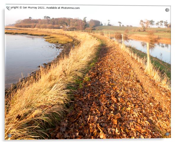 Autumn leaves on River Deben footpath, Ramsholt, Suffolk Acrylic by Ian Murray