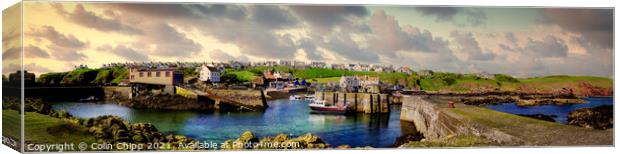 St. Abbs panorama Canvas Print by Colin Chipp