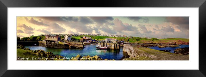 St. Abbs panorama Framed Mounted Print by Colin Chipp