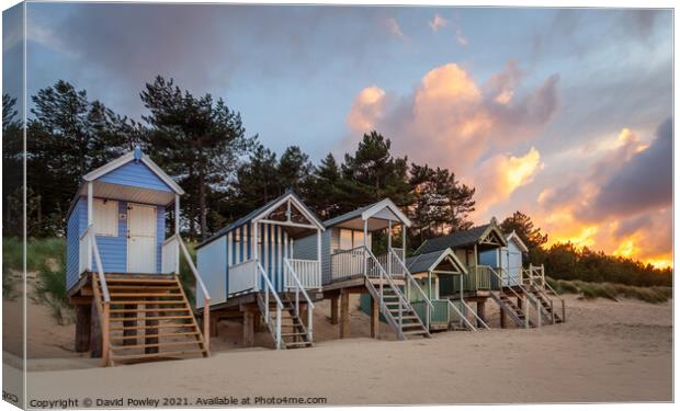Evening Light on the Beach Huts at Wells Norfolk Canvas Print by David Powley