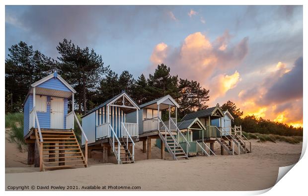 Evening Light on the Beach Huts at Wells Norfolk Print by David Powley