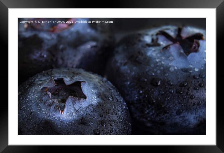 Big Blueberries Framed Mounted Print by STEPHEN THOMAS