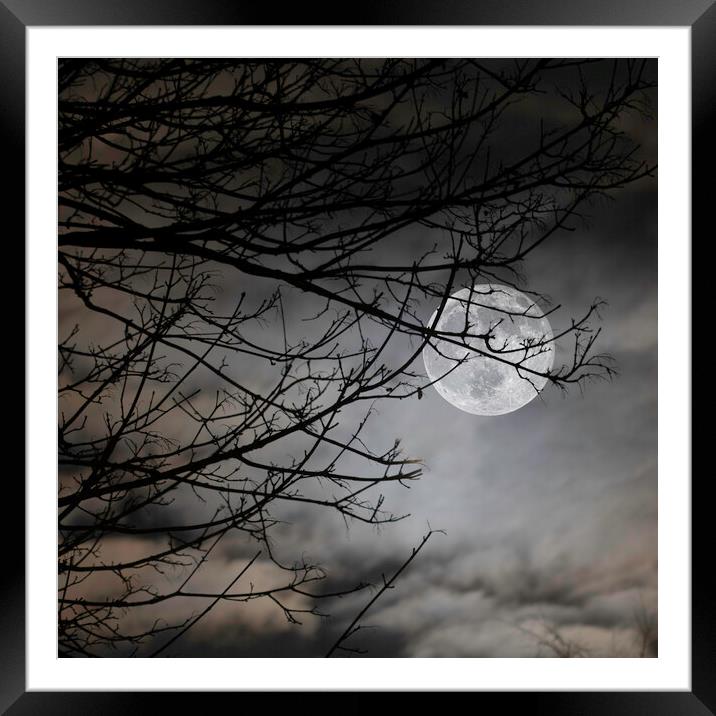 Moon Behind Trees on A Cloudy Night Framed Mounted Print by Ray Hill