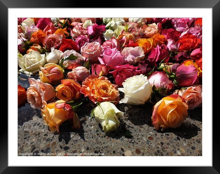 Roses Inside the Fountain  Framed Mounted Print by Martin Baroch