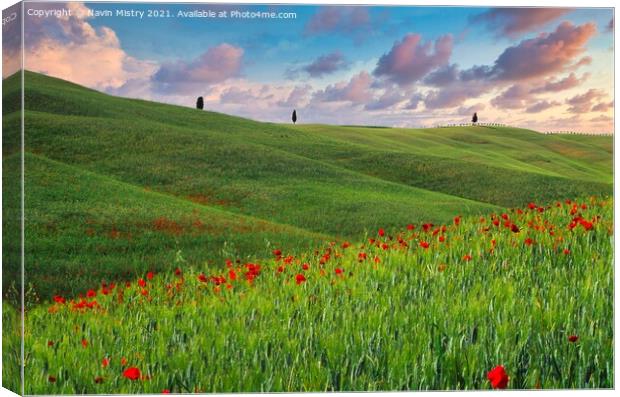A field with poppies, Tuscany, Italy Canvas Print by Navin Mistry