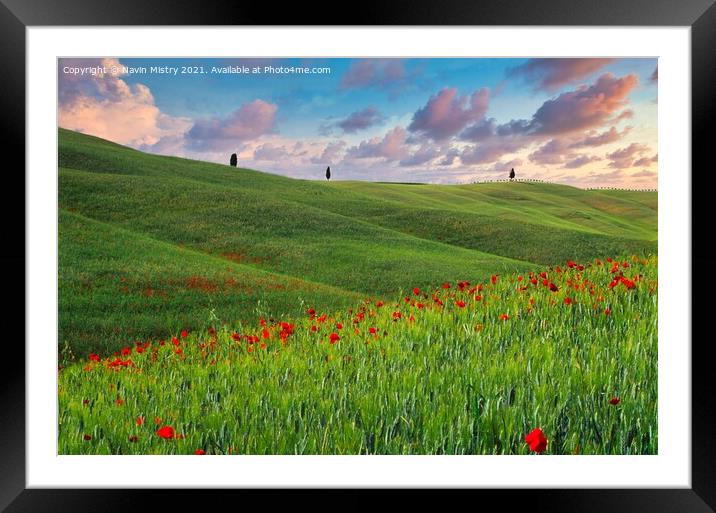 A field with poppies, Tuscany, Italy Framed Mounted Print by Navin Mistry