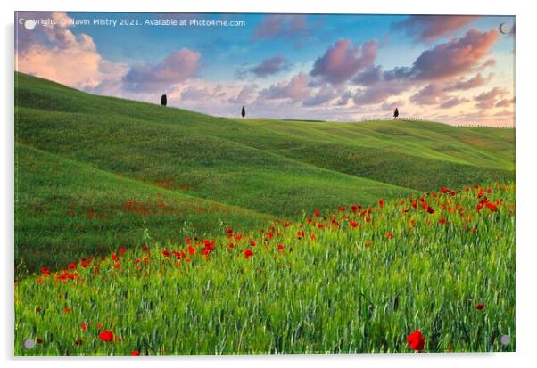 A field with poppies, Tuscany, Italy Acrylic by Navin Mistry