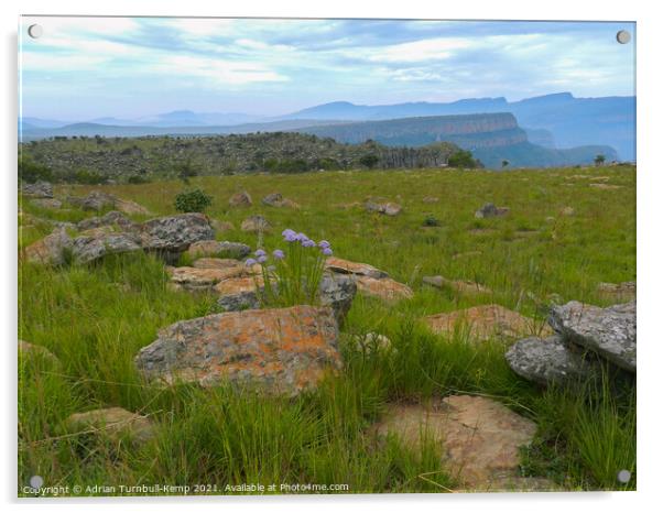 Escarpment, Blyde River, Mpumalanga Acrylic by Adrian Turnbull-Kemp