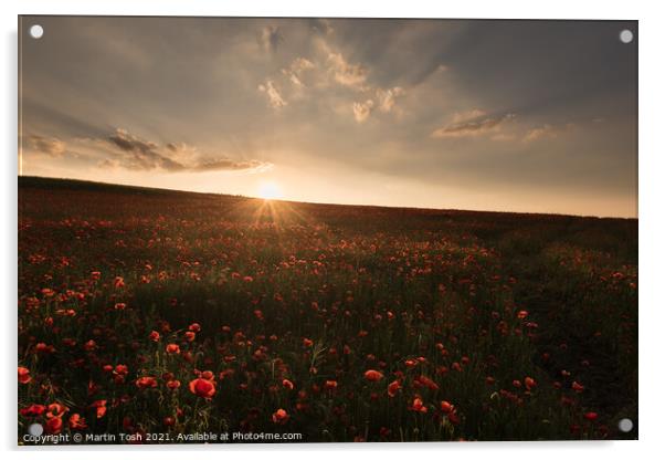 'Red setter' Sunset over Norfolk poppy field Acrylic by Martin Tosh