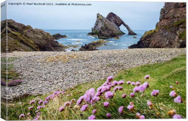 Bow Fiddle Rock and Sea Pink Canvas Print by Pearl Bucknall