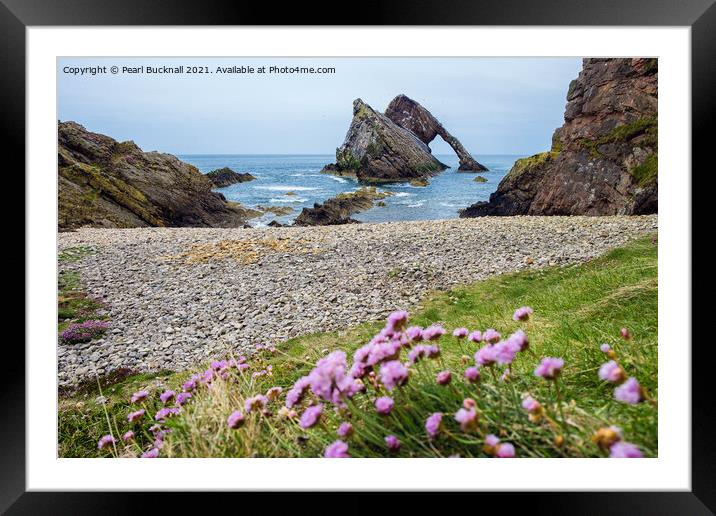 Bow Fiddle Rock and Sea Pink Framed Mounted Print by Pearl Bucknall
