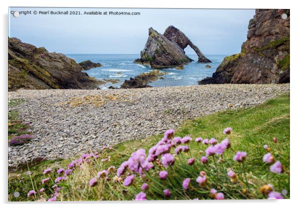 Bow Fiddle Rock and Sea Pink Acrylic by Pearl Bucknall