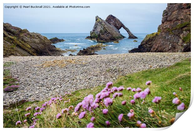 Bow Fiddle Rock and Sea Pink Print by Pearl Bucknall