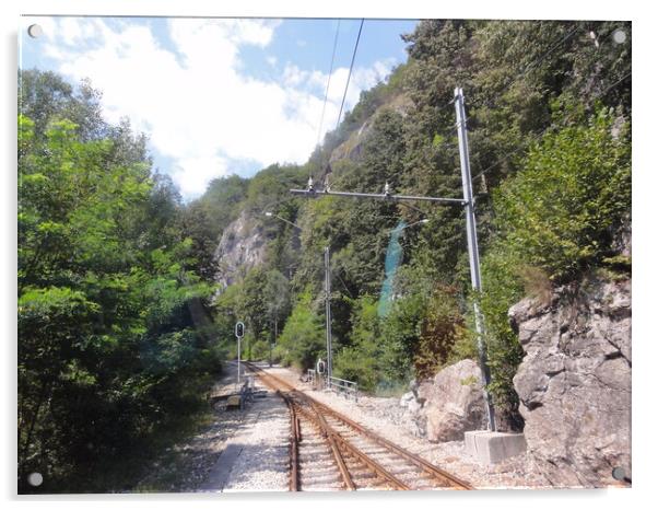 Narrow Gauge Railway across The Alps Acrylic by John Bridge