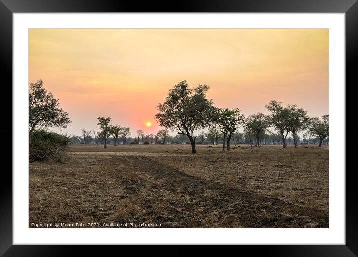 Sunsetting upon African plain with dirt track Framed Mounted Print by Mehul Patel