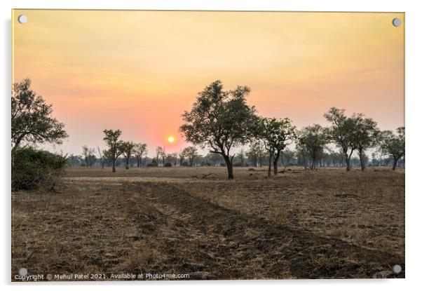 Sunsetting upon African plain with dirt track Acrylic by Mehul Patel