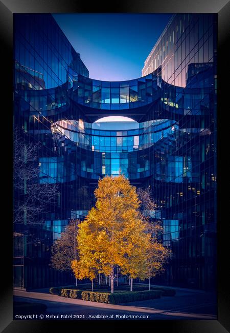 Bright tree leaves against modern office building exterior, London Bridge City, London, England, UK. Framed Print by Mehul Patel