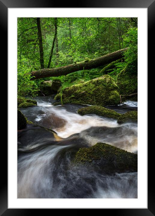 Wyming Brook, Sheffield, England Framed Mounted Print by Andrew Kearton