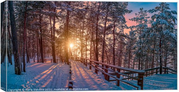 View of sunset over snowy pine forest with sun ray Canvas Print by Maria Vonotna