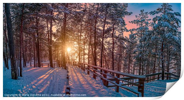 View of sunset over snowy pine forest with sun ray Print by Maria Vonotna