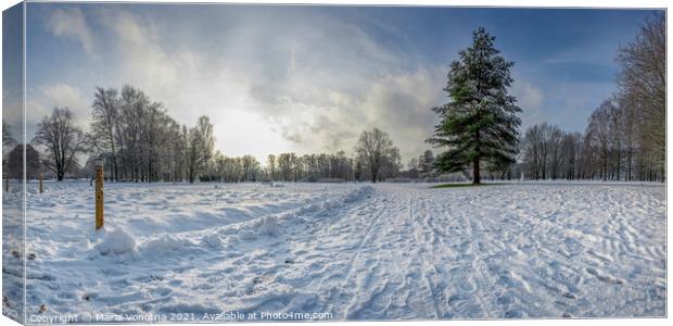 Panoramic view of snowy park with fir tree Canvas Print by Maria Vonotna