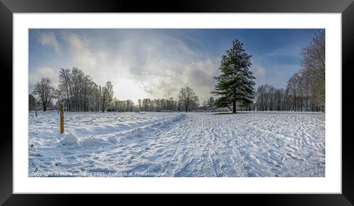 Panoramic view of snowy park with fir tree Framed Mounted Print by Maria Vonotna