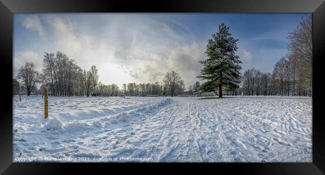 Panoramic view of snowy park with fir tree Framed Print by Maria Vonotna