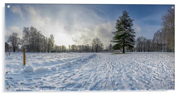 Panoramic view of snowy park with fir tree Acrylic by Maria Vonotna