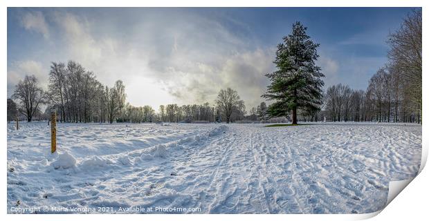 Panoramic view of snowy park with fir tree Print by Maria Vonotna