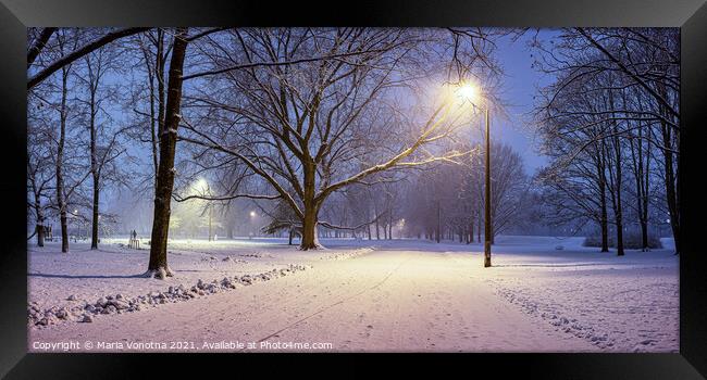 Street lights and covered in snow trees at night i Framed Print by Maria Vonotna