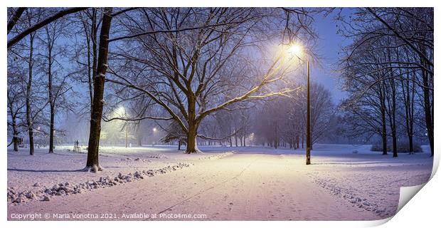 Street lights and covered in snow trees at night i Print by Maria Vonotna